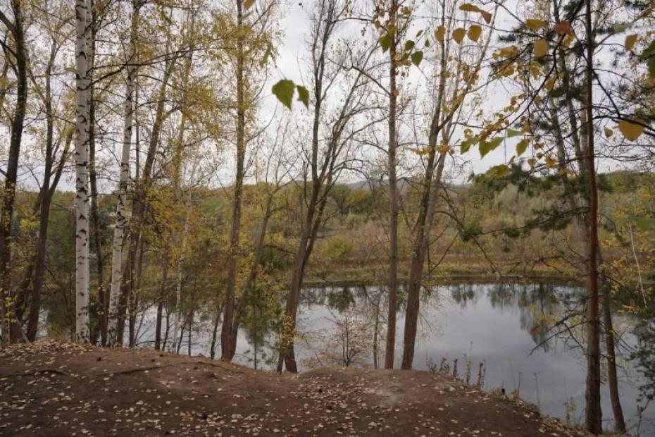 Погода на 16 октября 2025 года: народные приметы и прогноз синоптиков