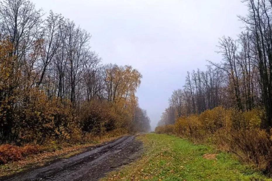 Самарцев предупредили о субботнем тумане