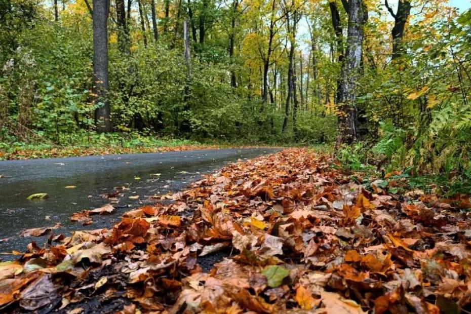 Погода на 20 октября 2025 года: народные приметы и прогноз синоптиков