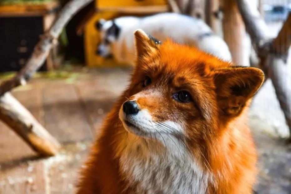 Погода на 22 октября 2025 года: народные приметы и прогноз синоптиков