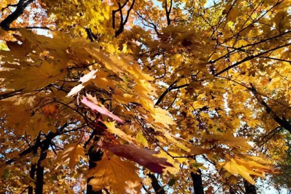 Народные приметы на 27 октября 2025 года: что нельзя делать в этот день