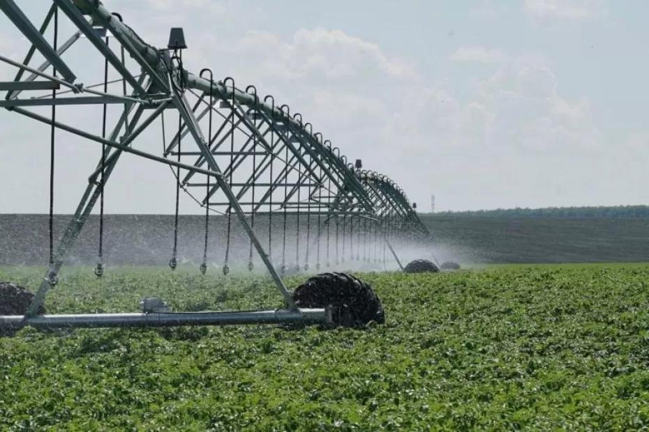 Самарская область активно развивает производство сои