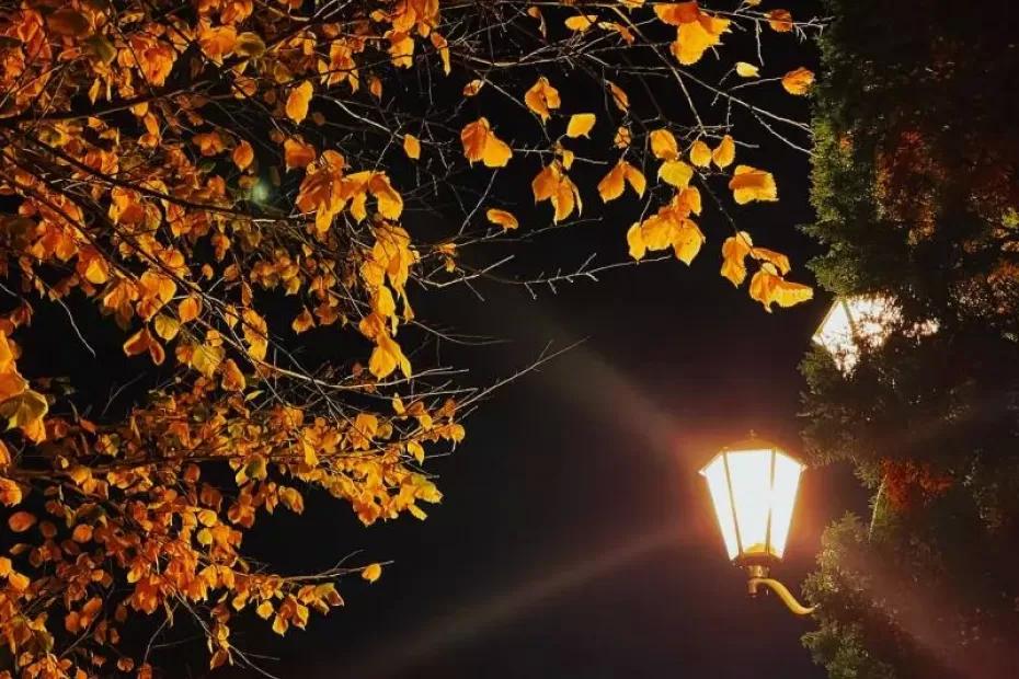 Народные приметы на 29 октября 2025 года: что нельзя делать в этот день