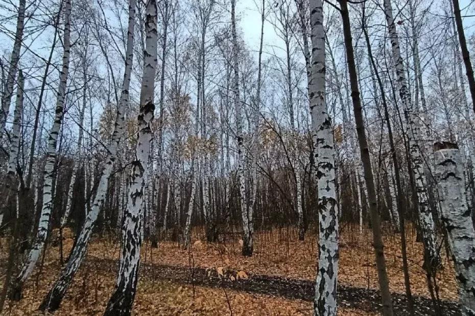 Народные приметы на 30 октября 2025 года: что нельзя делать в этот день