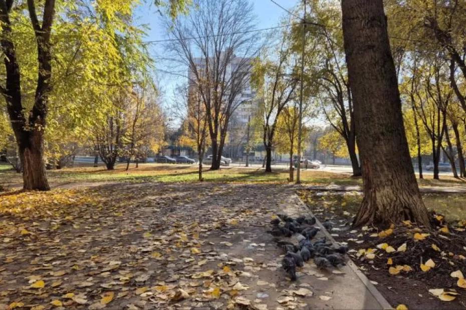 Сухо, снежно или сыро: прогноз погоды на длинные выходные в Самарской области