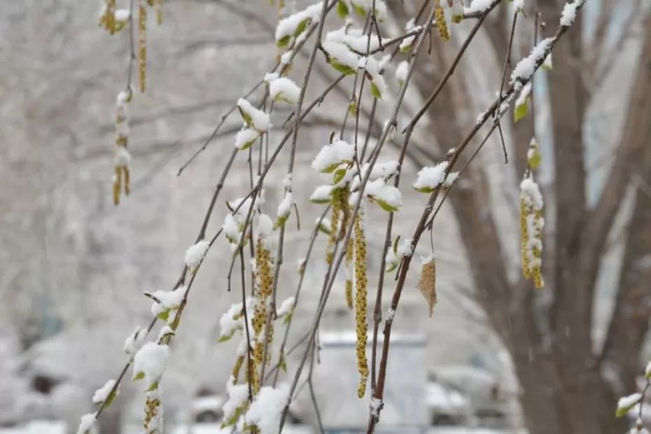 Ниже нуля: когда в Самарской области наступит устойчивый «минус»
