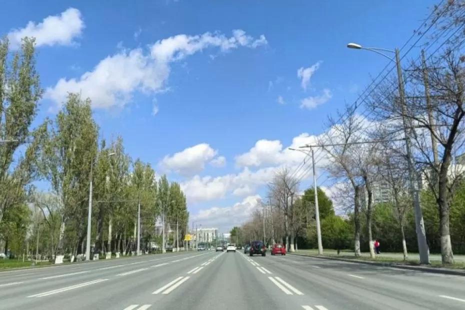 В ноябре вдоль улицы Ташкентской в Самаре высадят кусты дерна и снежноягодника