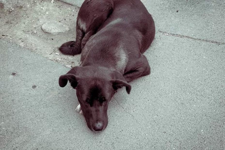 Народные приметы на 8 ноября 2025 года: что нельзя делать в этот день