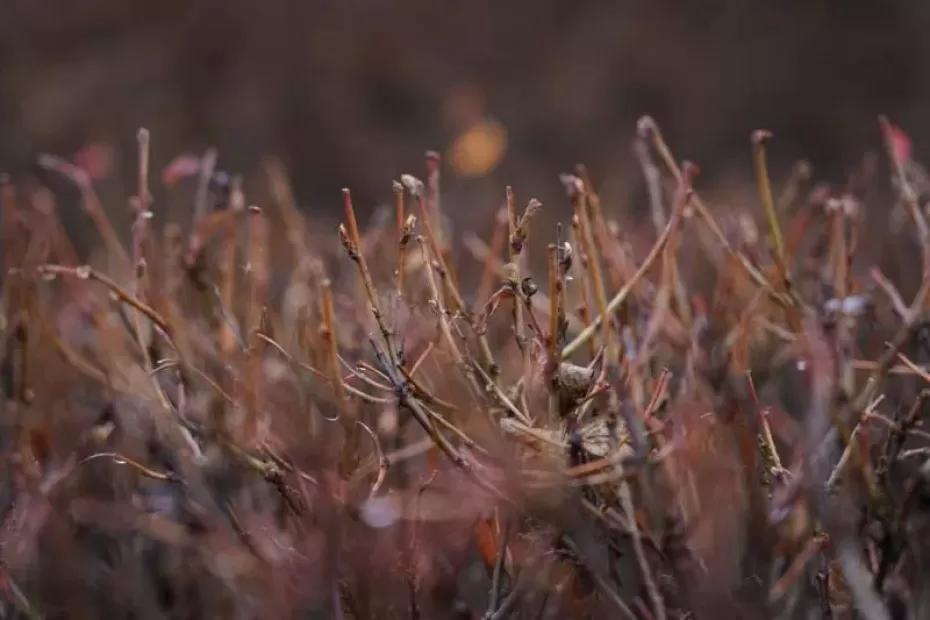 Народные приметы на 10 ноября 2025 года: что нельзя делать в этот день