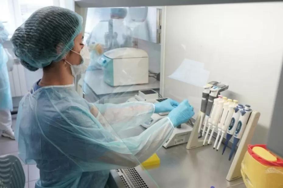 Ученые нашли фермент, влияющий на тягу к спиртному