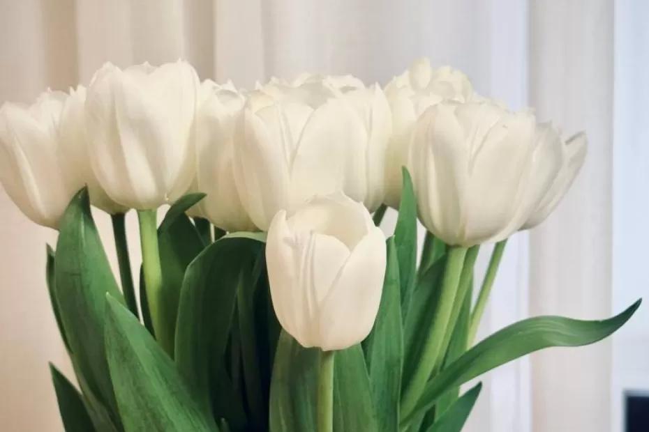 Нужные и приятные: идеи подарков на День матери