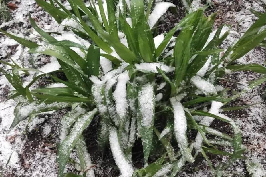 В Самарской области 16 ноября теплую погоду сменит снег с дождем