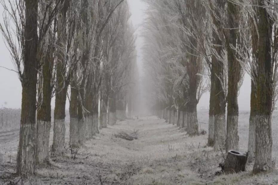 В горах Жигулевского заповедника выпал первый снег
