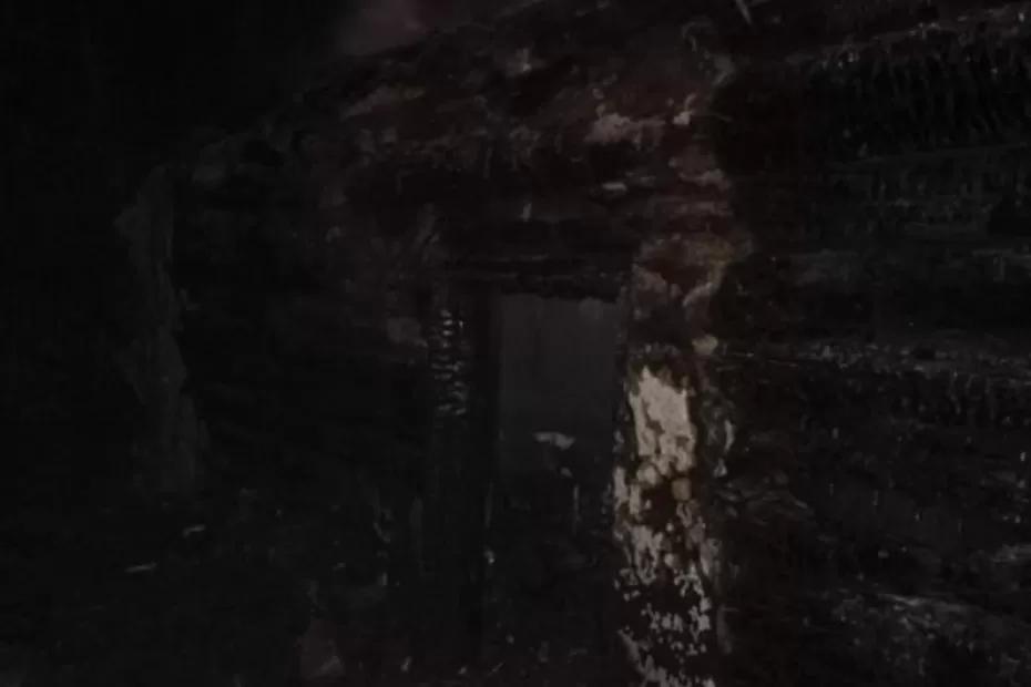 Ночью 17 ноября во время пожара в частном доме в Самарской области погиб человек