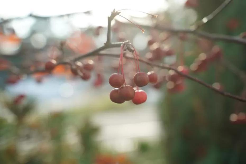 Народные приметы на 18 ноября 2025 года: что нельзя делать в этот день