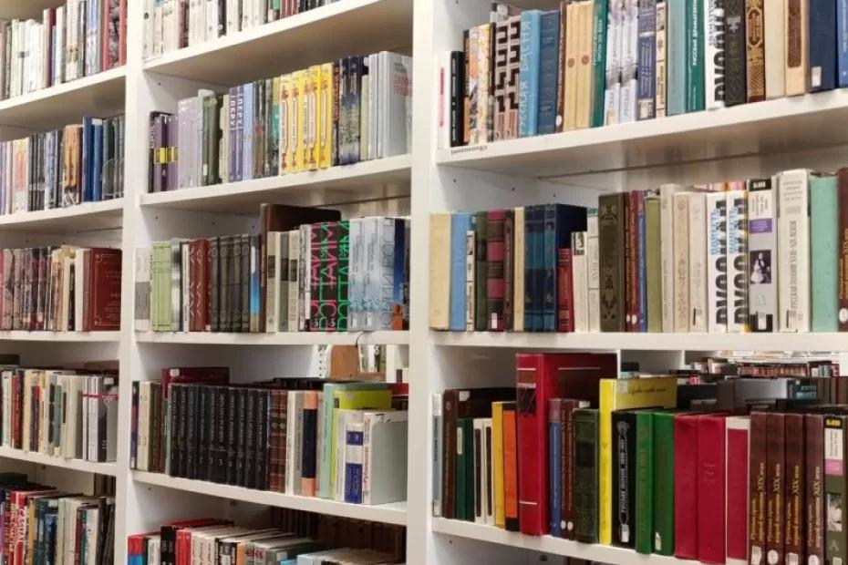 По Шенталинскому району колесит библиобус