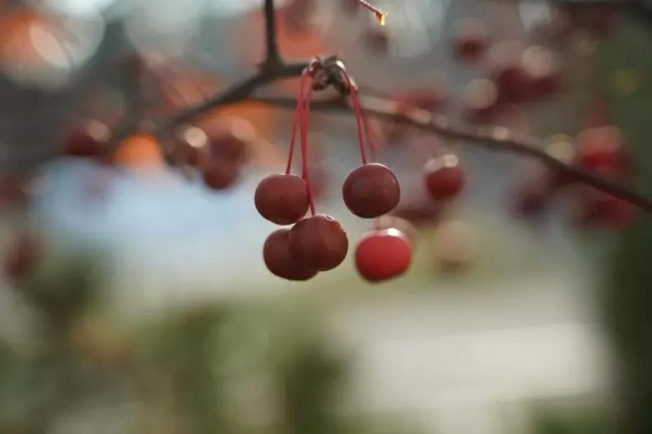 Народные приметы на 24 ноября 2025 года: что нельзя делать в этот день