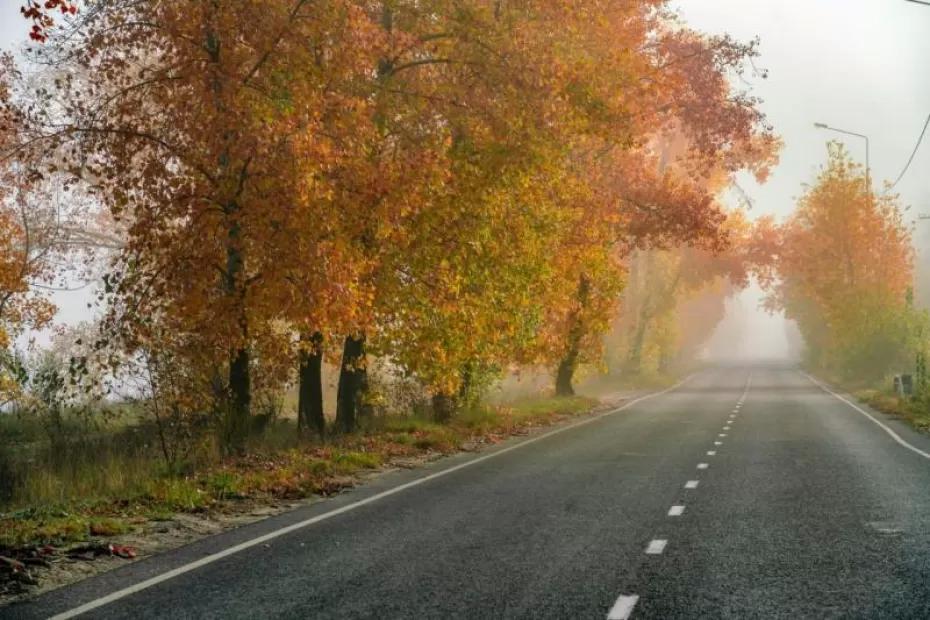 Грядущая неделя принесет похолодание в Самарскую область