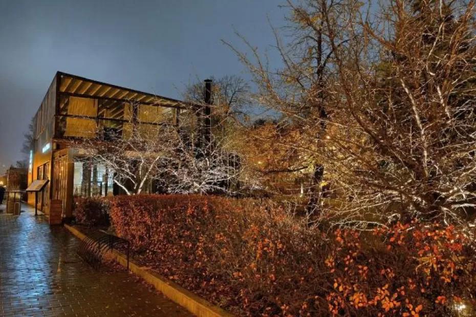 В Самарской области 25 ноября ожидается дождь и ветер