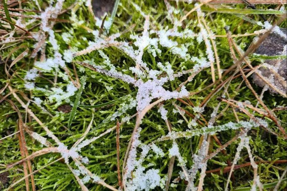 Народные приметы на 29 ноября 2025 года: что нельзя делать в этот день