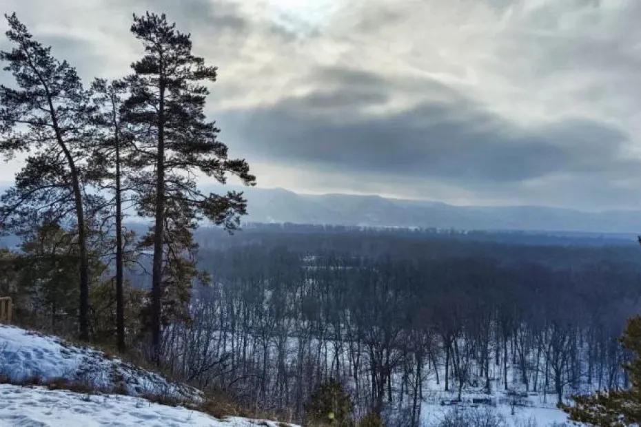 Снег и туман: в Самарской области 18 декабря потеплеет до 2 градусов