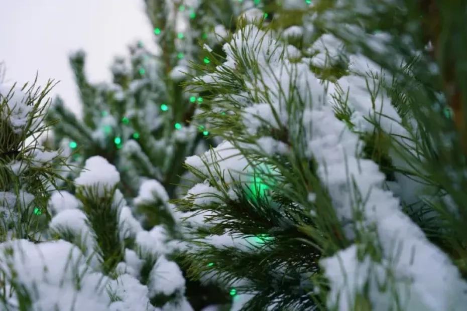 В Самарской области 6 января будет снежно и морозно
