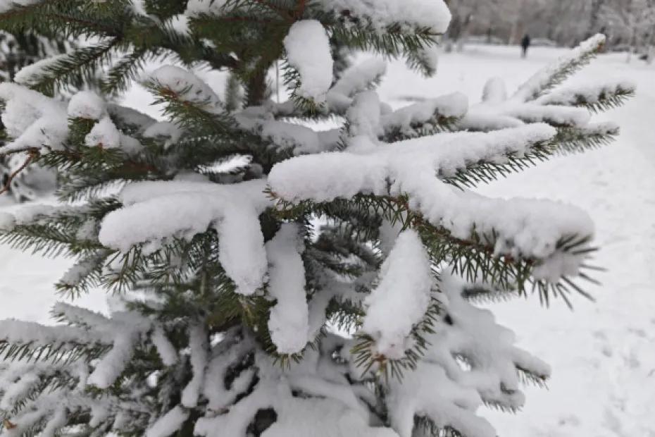 Мороз и метель придут в Самарскую область 7 января