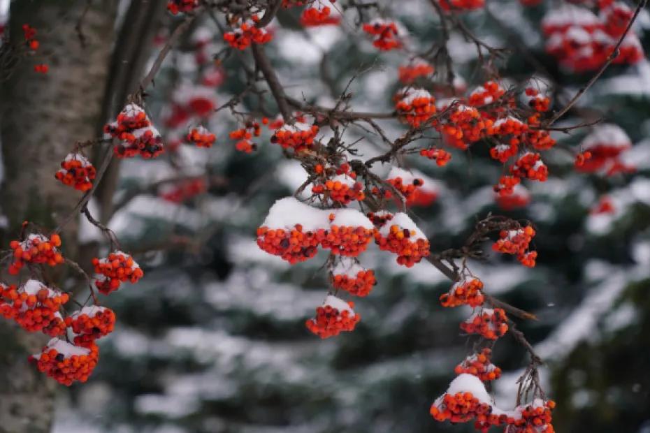 Народные приметы на 9 января 2026 года: что нельзя делать в этот день