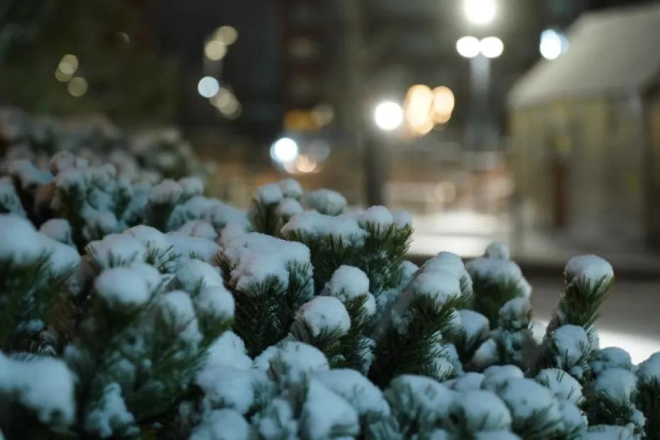 Снежно и пасмурно: погода в Самарской области 12 января