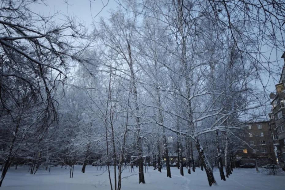 Приближается похолодание: в Самарской области 14 января ожидается мороз без осадков