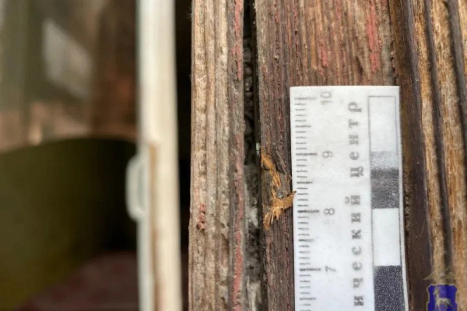 В Сызранском районе мужчина стащил с чужой дачи инструменты, садовую технику и канистру с бензином