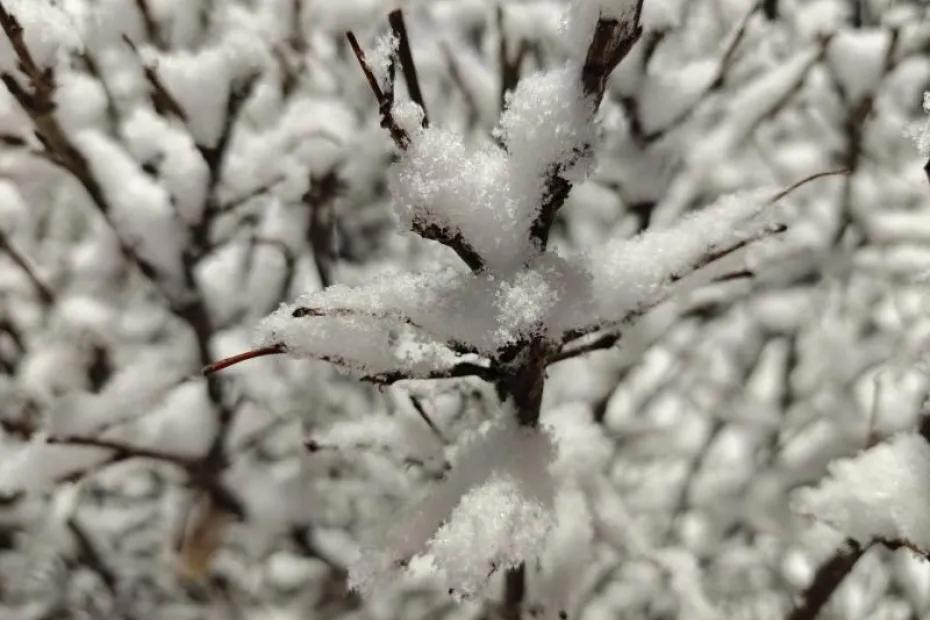 В Самарской области 19 декабря ожидается гололед и снег
