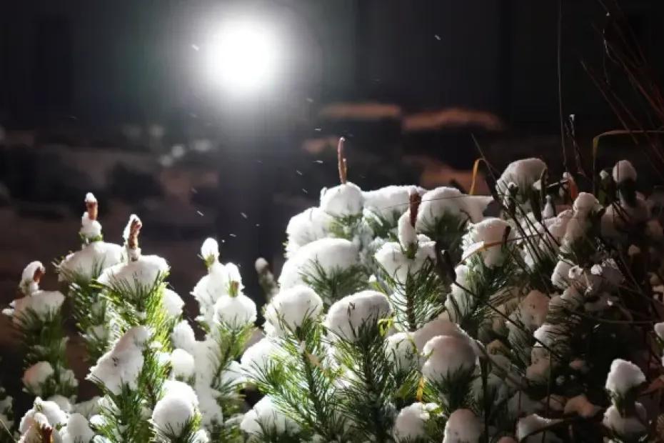 В Самарской области ожидается снежный февраль