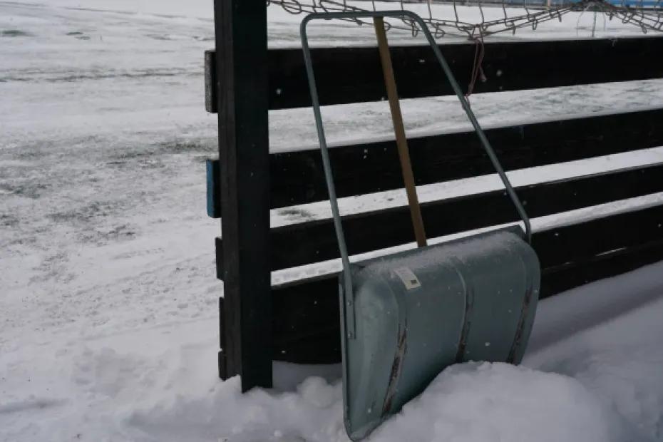 Куда обратиться, если коммунальщики не убирают снег: ответ экспертов