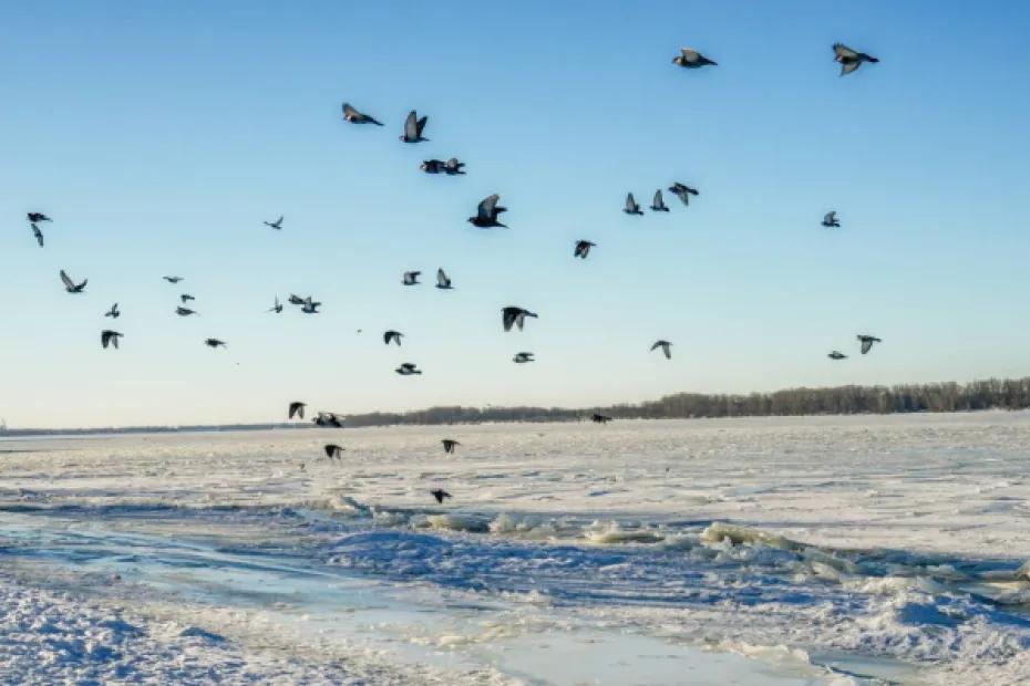 В Самарской области 7 февраля будет снежно и морозно