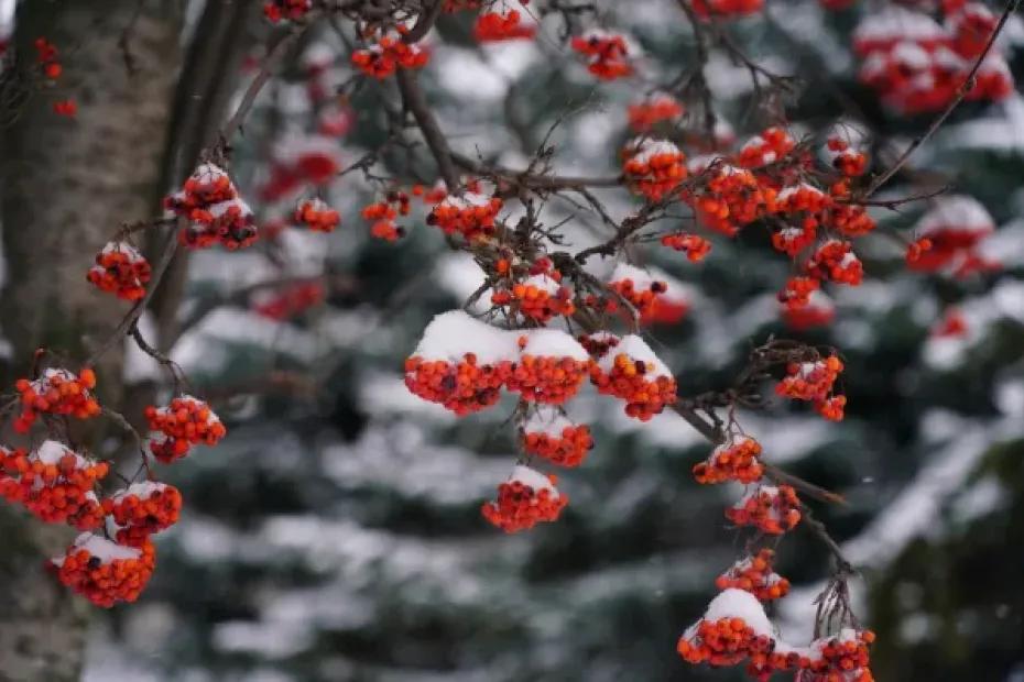 Народные приметы на 10 февраля 2025 года: что нельзя делать в этот день