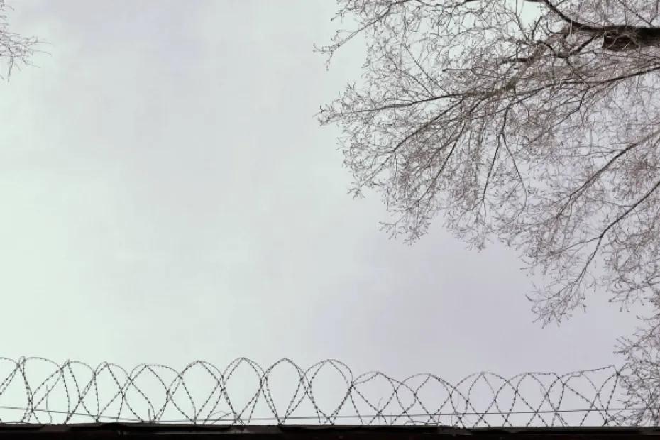 В Тольятти участнику банды дали срок за попытку продать наркотики