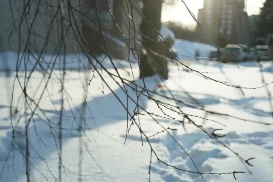 Облачно и сухо: погода в Самарской области 22 февраля