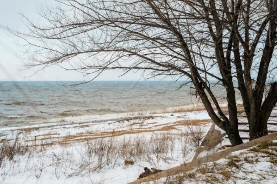 Пасмурно и сухо: погода в Самарской области 25 февраля