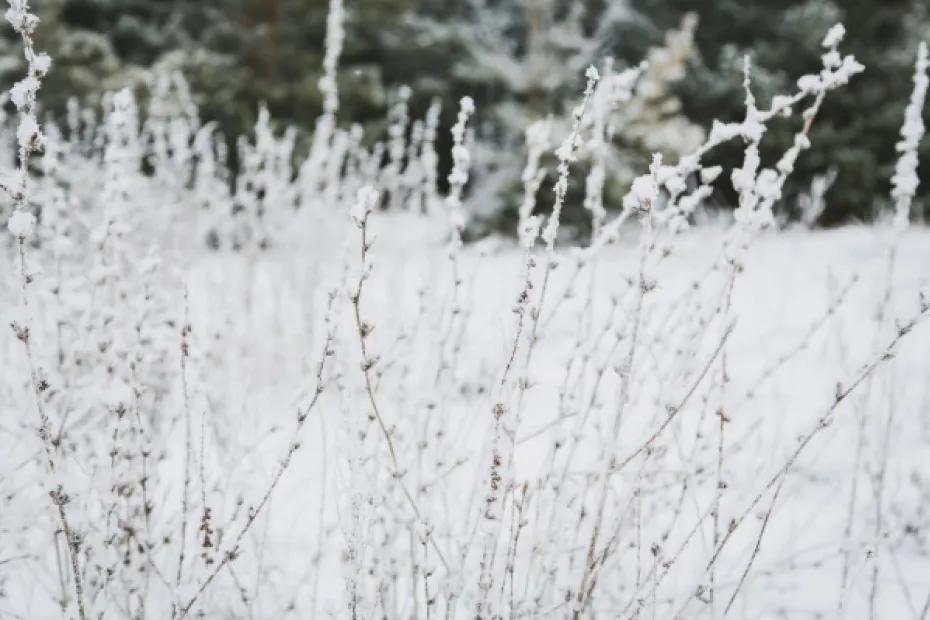 Сухо и безветренно: погода в Самарской области 26 февраля