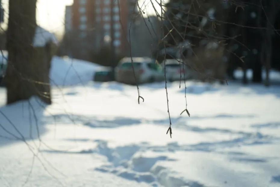 Зима не отступает: в Самарской области 7 марта будет морозно и скользко