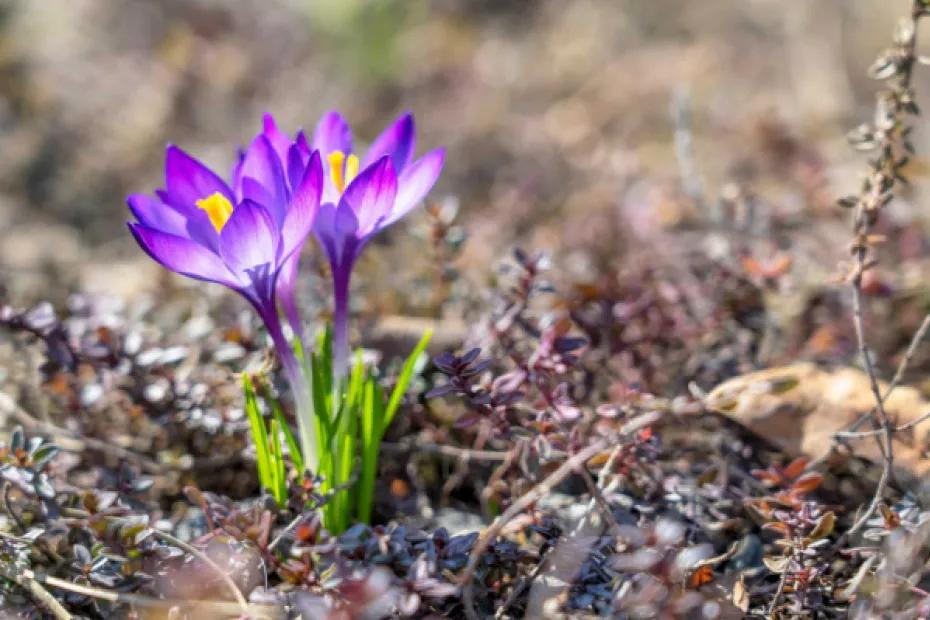 В Самарской области 16 апреля будет солнечно и тепло