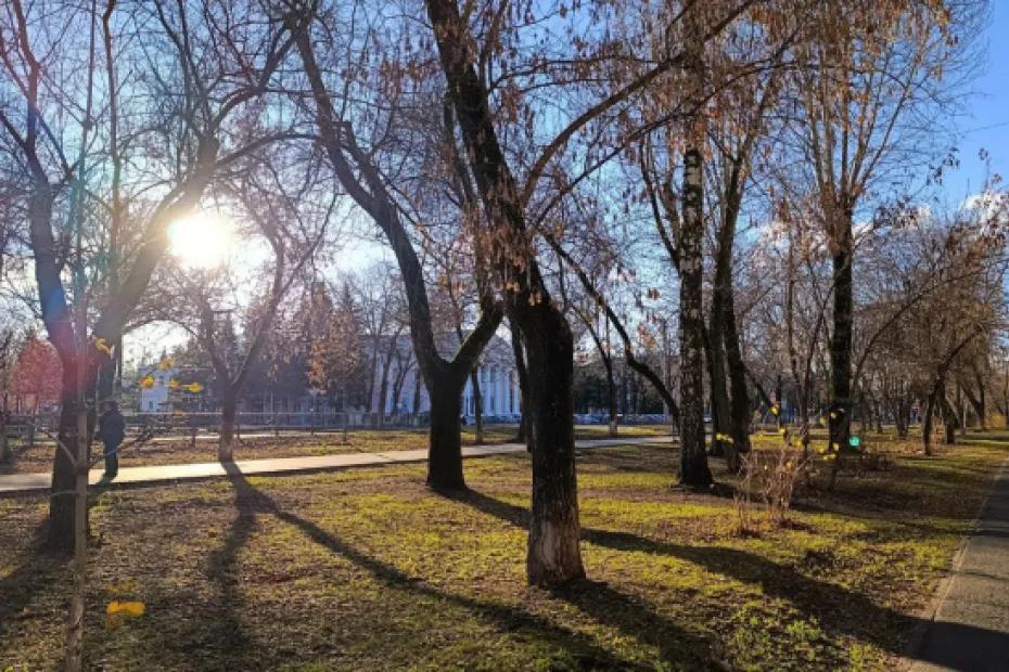 В Самарской области 17 апреля будет тепло и ясно