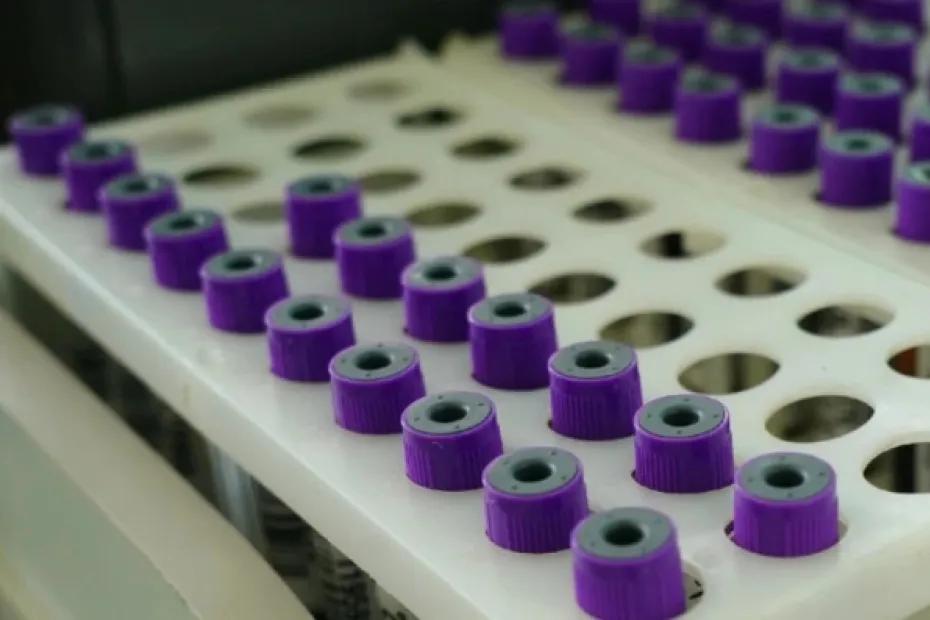 День донора: какие праздники отмечают 20 апреля