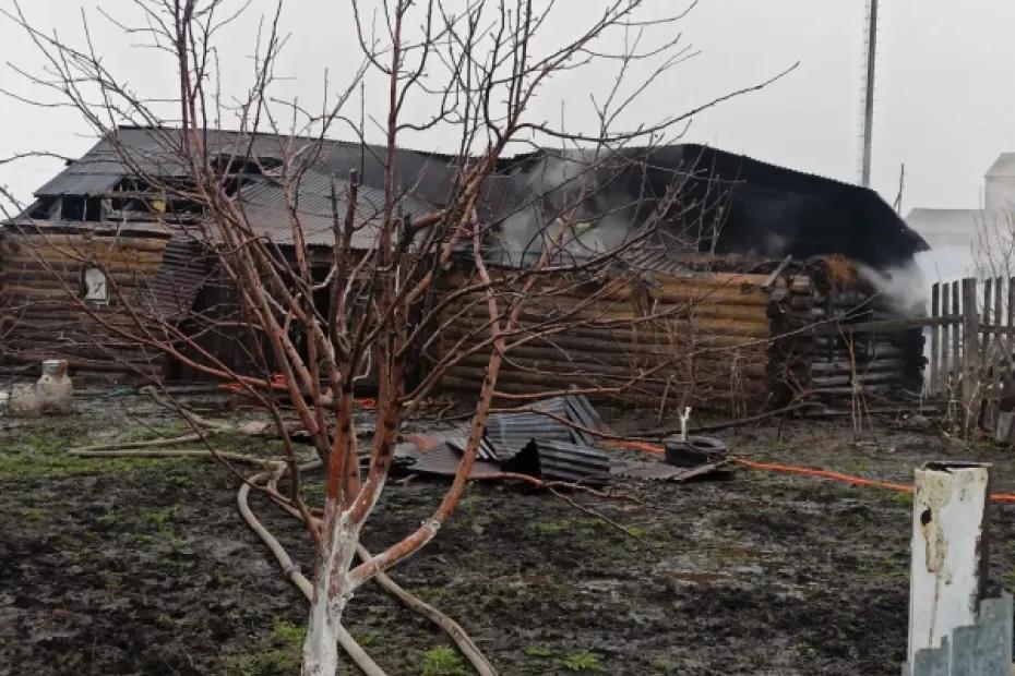 В селе Русская Васильевка Самарской области полыхал бревенчатый сарай