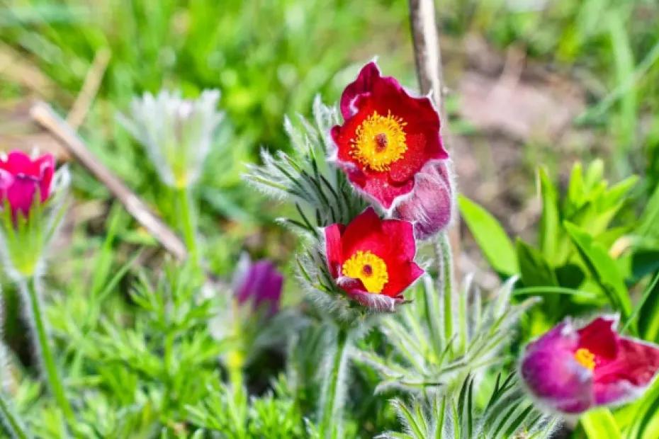 Народные приметы на 28 апреля 2026 года: что нельзя делать в этот день