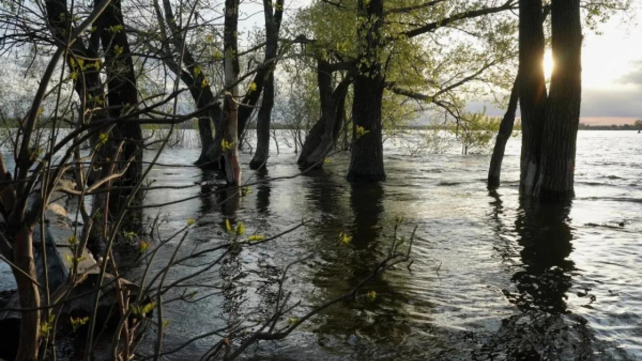 Паводковая обстановка: в Самарской области подтоплено 37 приусадебных участков