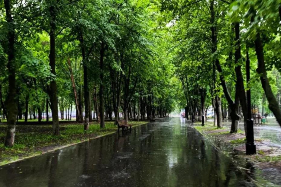 +32 &deg;C и вечерний дождь: погода в Самарской области 8 августа