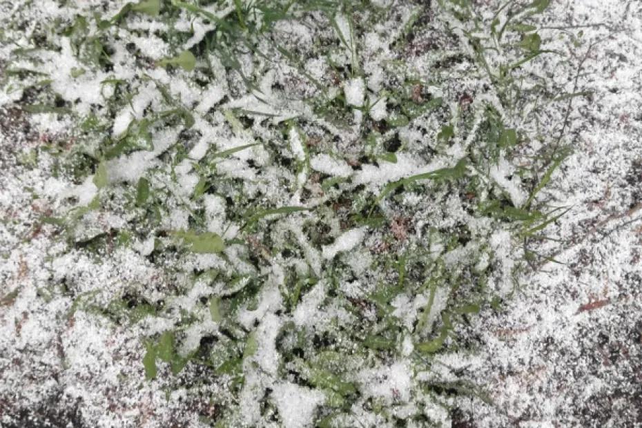Малооблачно и ночные заморозки: погода в Самарской области 29 августа