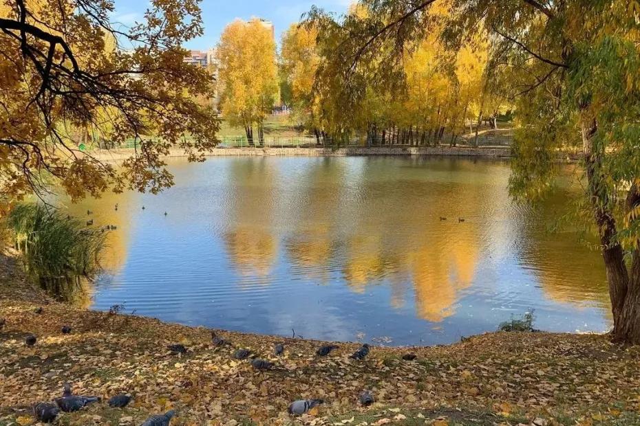 В Самарскую область нагрянет похолодание в конце сентября
